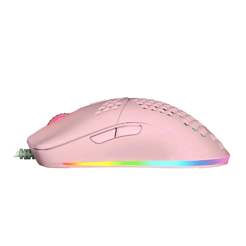Mouse GF MOG601 3